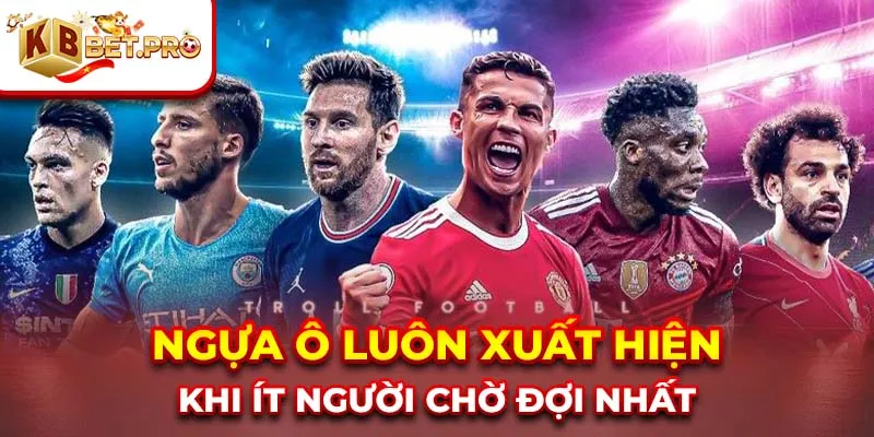 Ngựa ô luôn xuất hiện khi ít người chờ đợi nhất